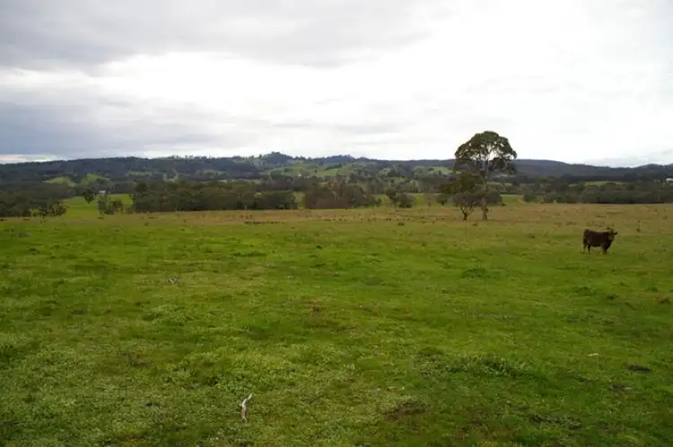 Fourth view of Homely rural property listing, 280 Shaws road, Merton VIC 3715