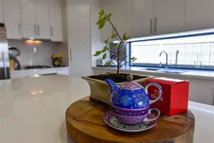 Fourth view of Homely house listing, 6 Strathlyn Avenue, Naracoorte SA 5271