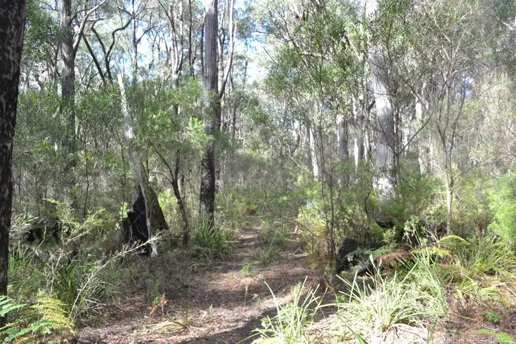 Second view of Homely rural property listing, 1036 Meryla Rd, Meryla NSW 2577