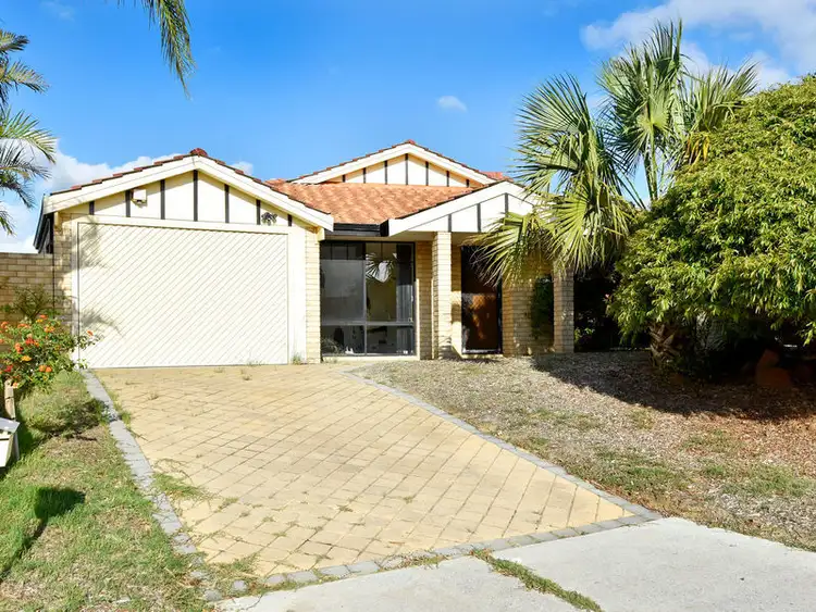 Main view of Homely house listing, 40 Dandenong Way, Alexander Heights WA 6064