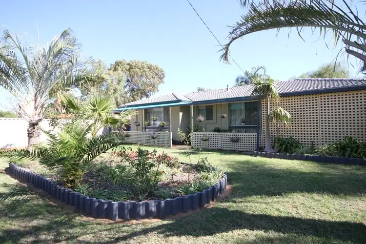 9 Melbourne Street, Waggrakine WA 6530