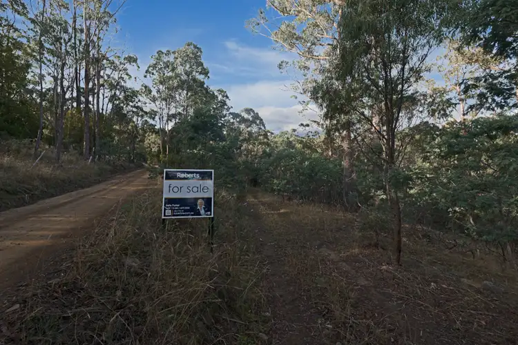 Main view of Homely land listing, Lot 1 Williams Lane, Dysart TAS 7030