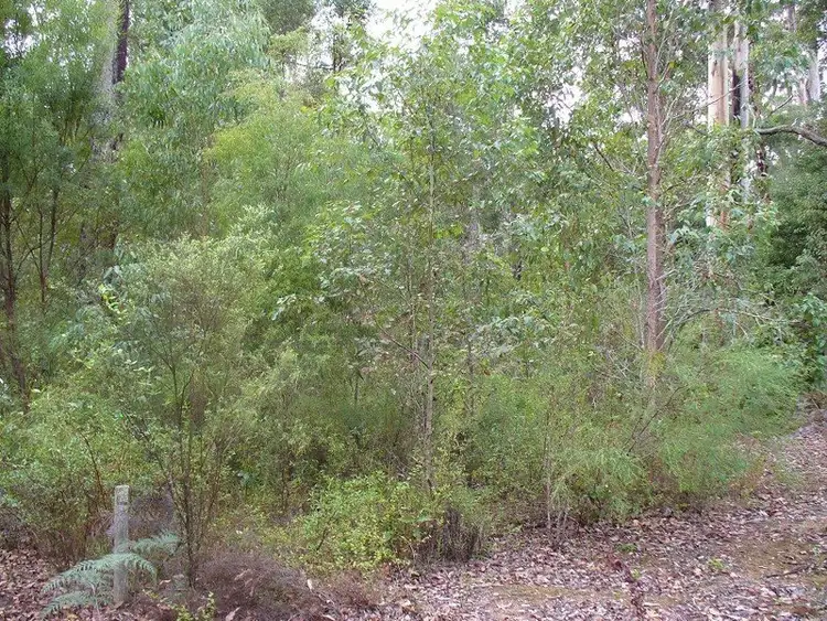 Fourth view of Homely land listing, Lot 7 Karri Lane, Quinninup WA 6258