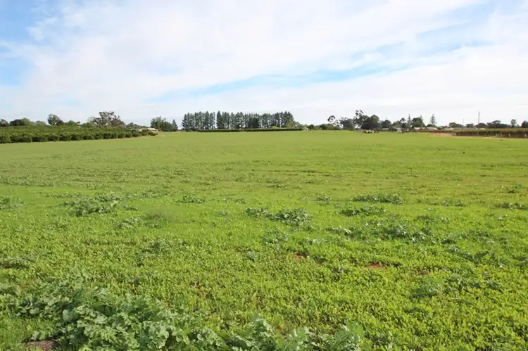 Main view of Homely rural property listing, Lot 82 Lower Winkie Road, Winkie SA 5343