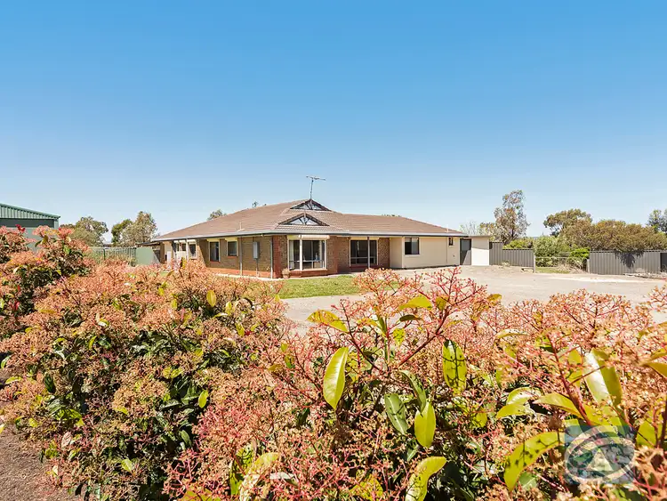 23 Horseshoe Drive, Roseworthy SA 5371