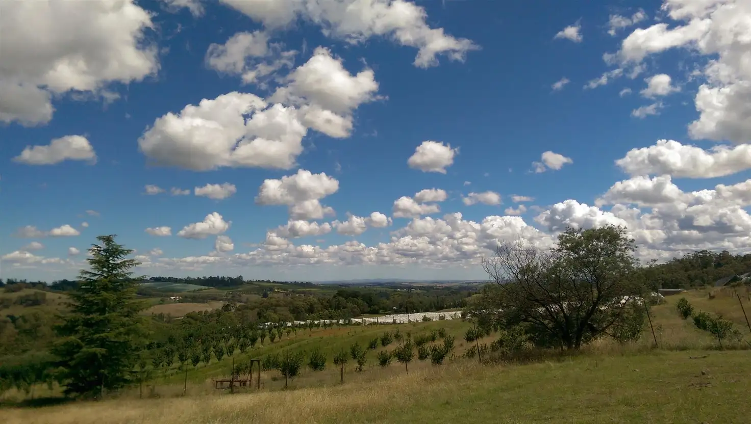 Main view of Homely rural property listing, 735 Canobolas Road, Orange NSW 2800