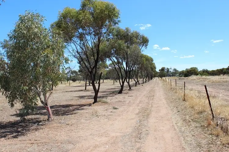 230 Dowerin - Meckering Rd, Meckering WA 6405