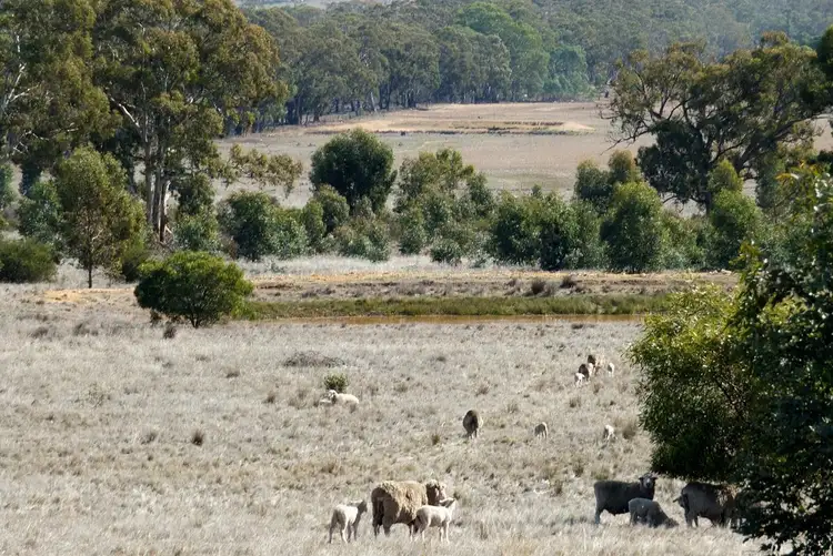 Fifth view of Homely rural property listing, Lot 2 Stawell-Avoca Road, Navarre VIC 3384