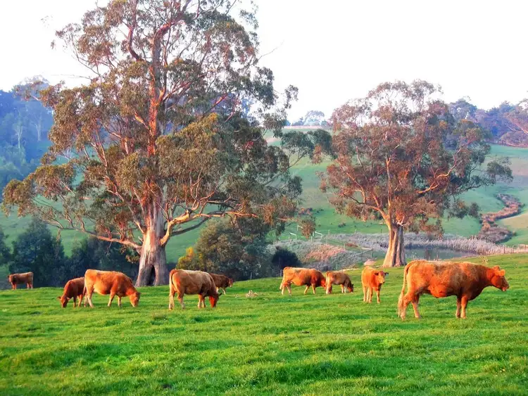 Main view of Homely rural property listing, 640 Boolarra South - Mirboo North Road, Mirboo North VIC 3871