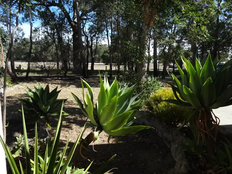 Third view of Homely house listing, 23 Timperley Street, Boyanup WA 6237