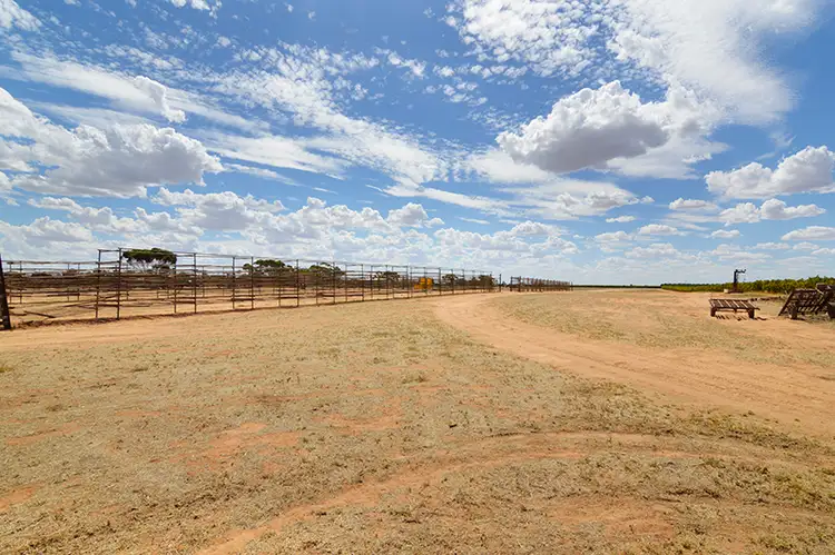 Fifth view of Homely land listing, Blk 169 Fifth Street, Merbein VIC 3505