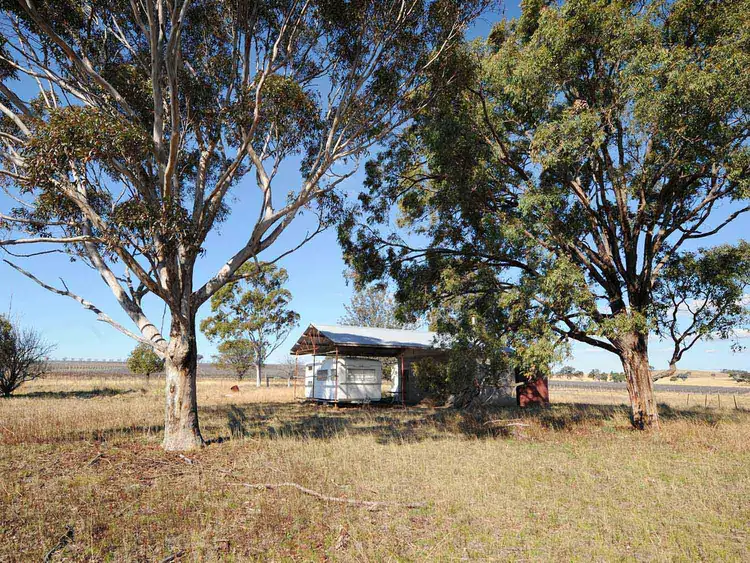 Fourth view of Homely rural property listing, 313 Magpie Lane, Gulgong NSW 2852