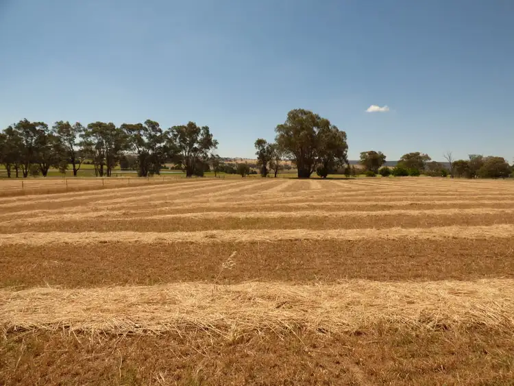 Second view of Homely land listing, 573 Wirrimah Road, Wirrimah NSW 2803