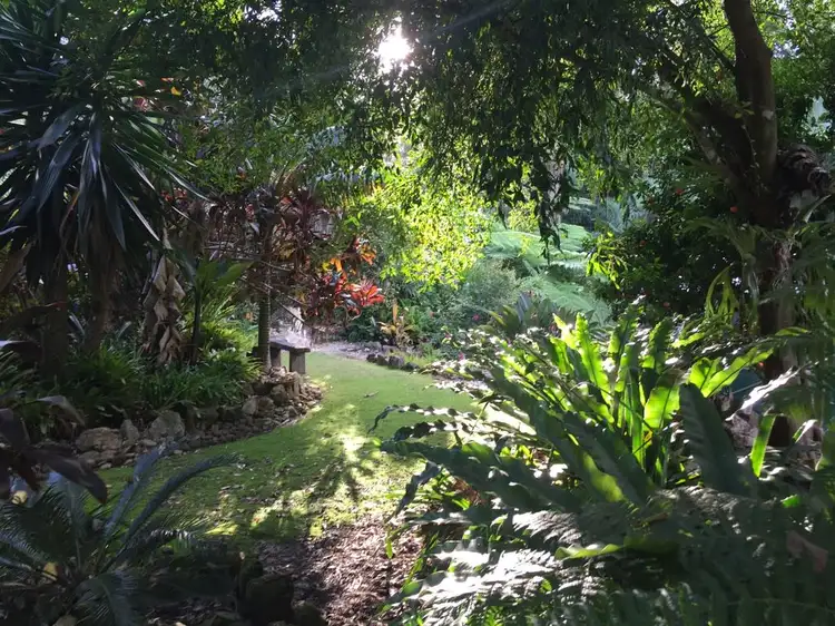 Main view of Homely house listing, 114 Maso Road, Repentance Creek NSW 2480