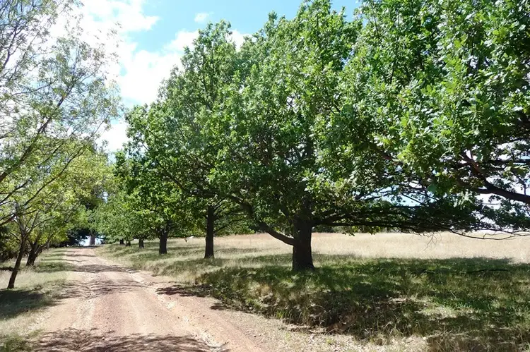 Second view of Homely rural property listing, 1 Blessington Road, St Leonards TAS 7250