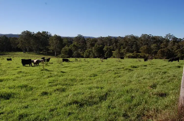 Seventh view of Homely rural property listing, Address available on request