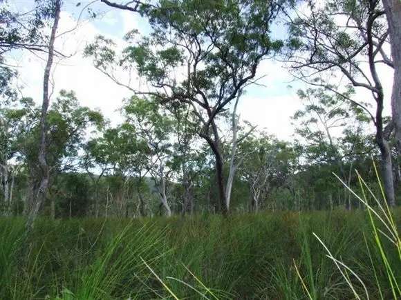 Fourth view of Homely rural property listing, lot 221 Murphy Road, Captain Creek QLD 4677