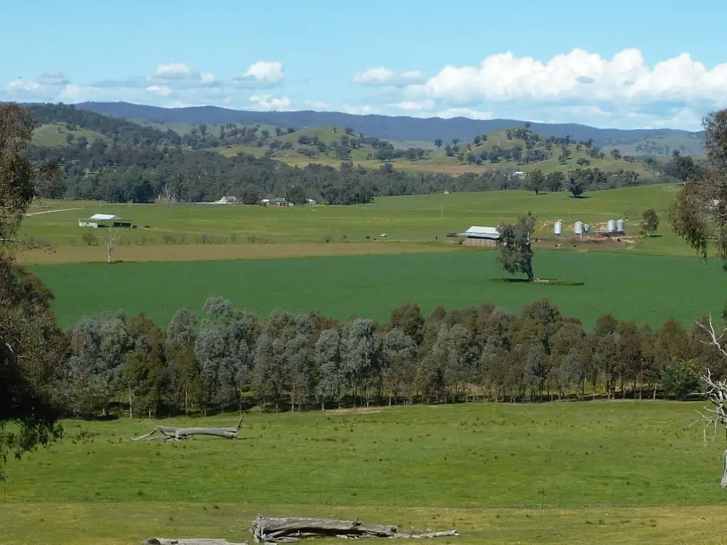 Main view of Homely rural property listing, 415 Sturt Highway, Wagga Wagga NSW 2650