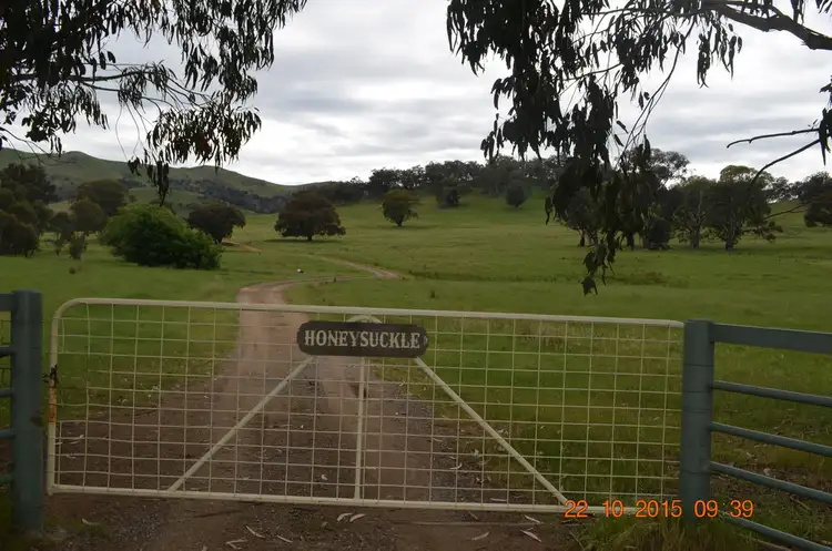 Main view of Homely rural property listing, 254 Brungle Creek Road, Tumut NSW 2720