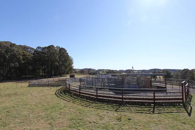 Seventh view of Homely rural property listing, 1693 Nowendoc Road, Niangala NSW 2354