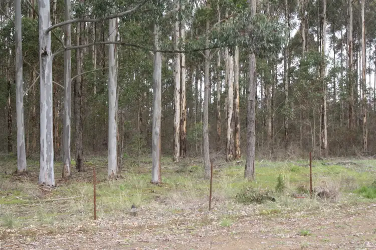 Fourth view of Homely rural property listing, Lot 461 South Western Highway, Manjimup WA 6258