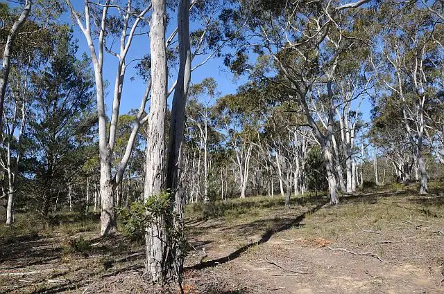 Lot 5, 500 Hanging Rock Road, Sutton Forest NSW 2577