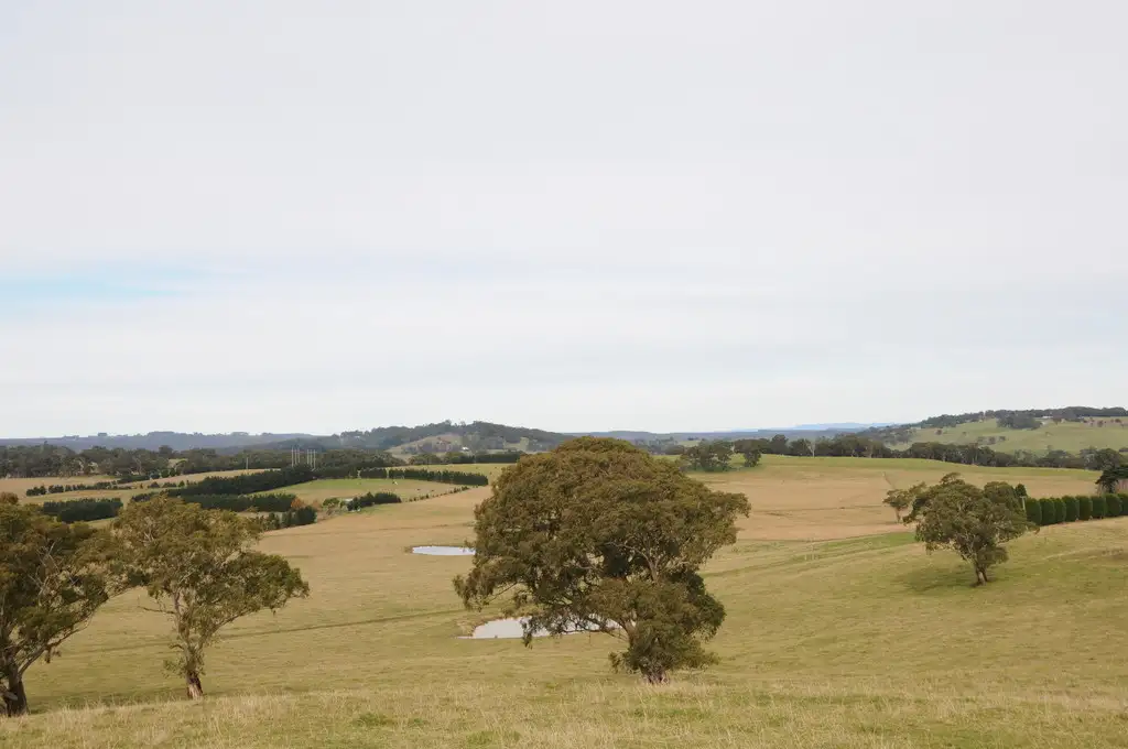 Main view of Homely rural property listing, 220 Yarrawa Road, Moss Vale NSW 2577