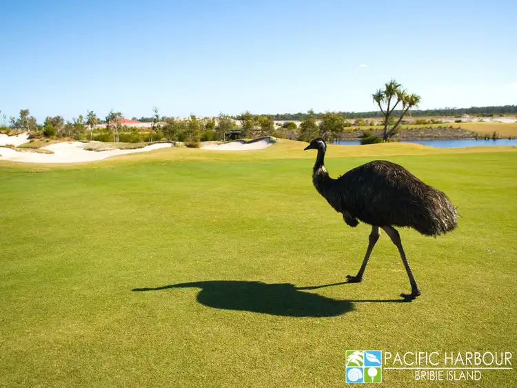 Lot 249 Caleana Close, Banksia Beach QLD 4507