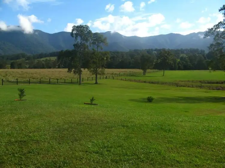 Fifth view of Homely rural property listing, 262 Pumpenbil Road, Tyalgum NSW 2484