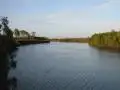 Fourth view of Homely land listing, 155 Pavia Drive, Nome QLD 4816