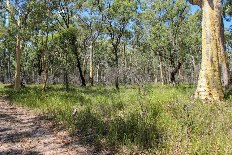 Fifth view of Homely rural property listing, 127 Springwood Park Road, Mudgee NSW 2850