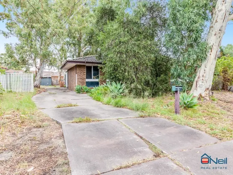 Second view of Homely house listing, 3 Baxendale Way, Camillo WA 6111