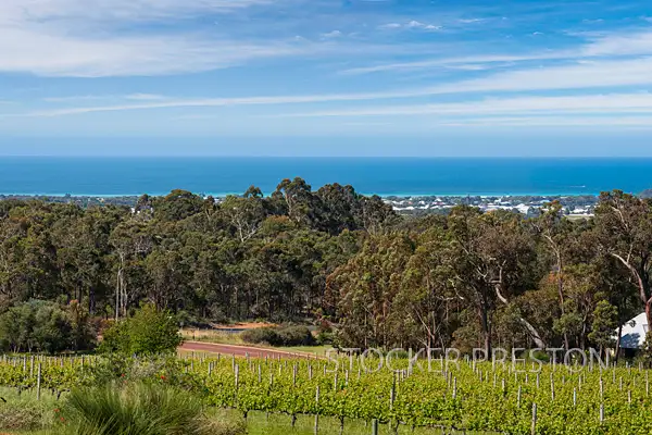 21 Veraison Place, Quindalup WA 6281