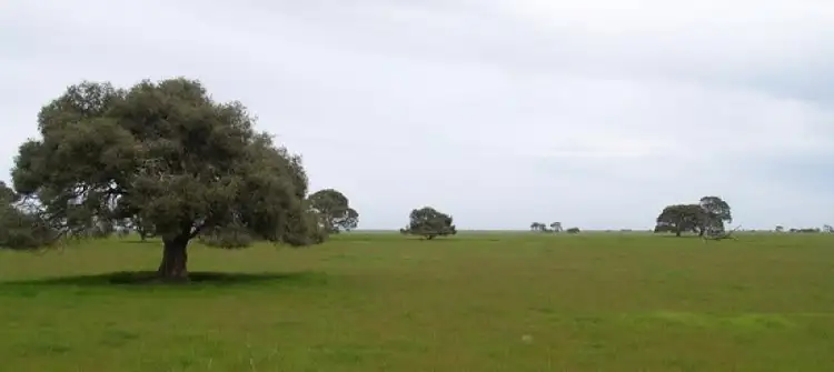 Seventh view of Homely rural property listing, 1110 Bowaka Road, Kingston Se SA 5275