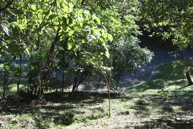 Fifth view of Homely land listing, 15 Dandaloo Way, Ocean Shores NSW 2483