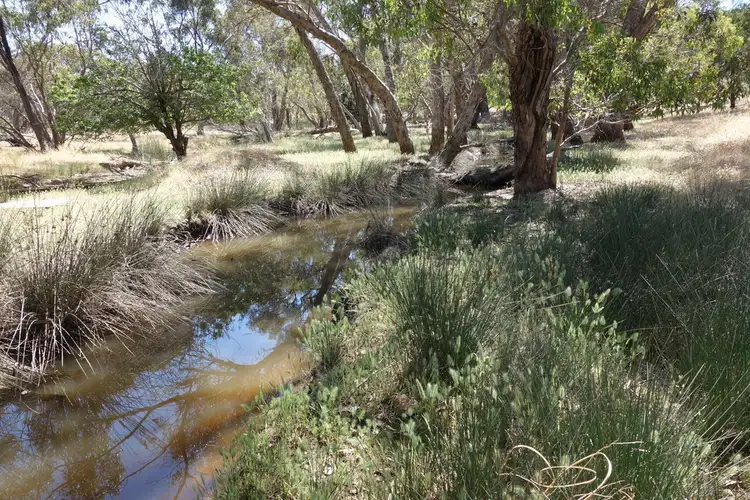 Sixth view of Homely house listing, 60 Palmer Street, Narrogin WA 6312