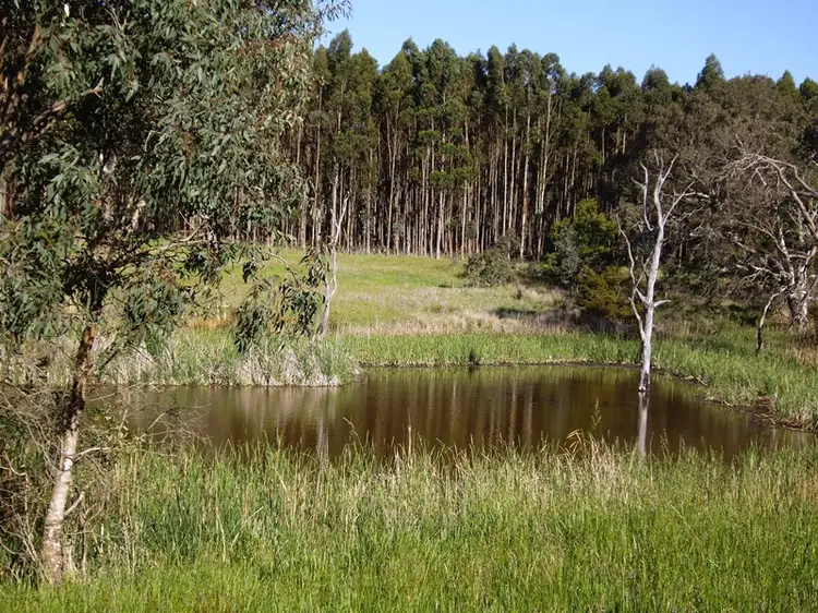 - Springbank Road, Casterton VIC 3311