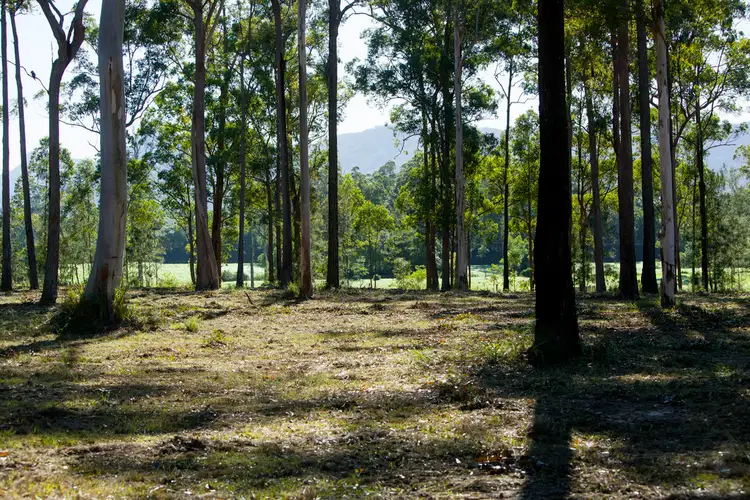 Main view of Homely land listing, 569 Upper Lansdowne Road, Upper Lansdowne NSW 2430