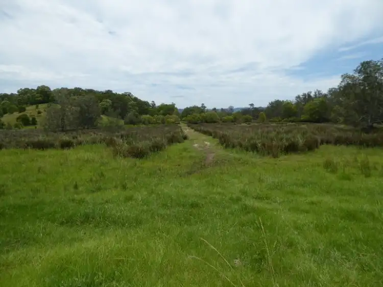 Seventh view of Homely rural property listing, Lot 9 Mullumbimby Road, Mullumbimby NSW 2482