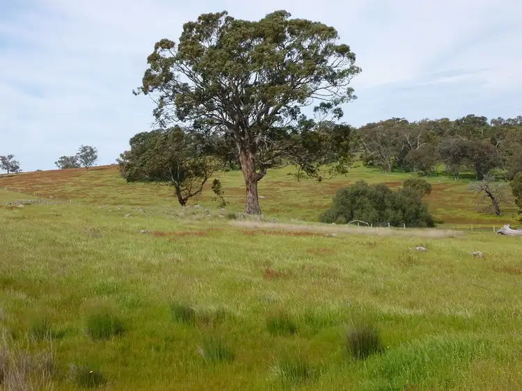 Fourth view of Homely rural property listing, 116 Moores Bridge Road, Springhurst VIC 3682
