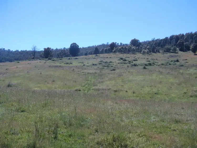 Sixth view of Homely rural property listing, 3000 Corryong Road, Benambra VIC 3900
