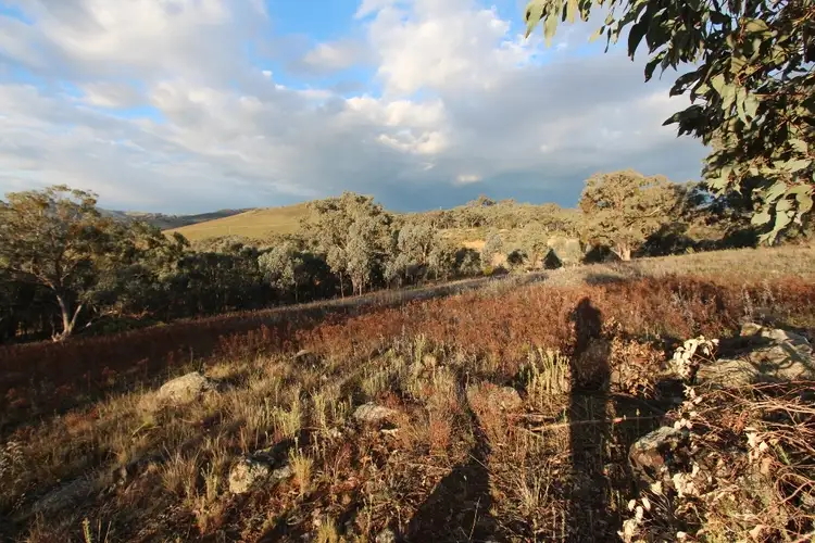 Sixth view of Homely rural property listing, 4391 Sofala Road, Wattle Flat NSW 2795