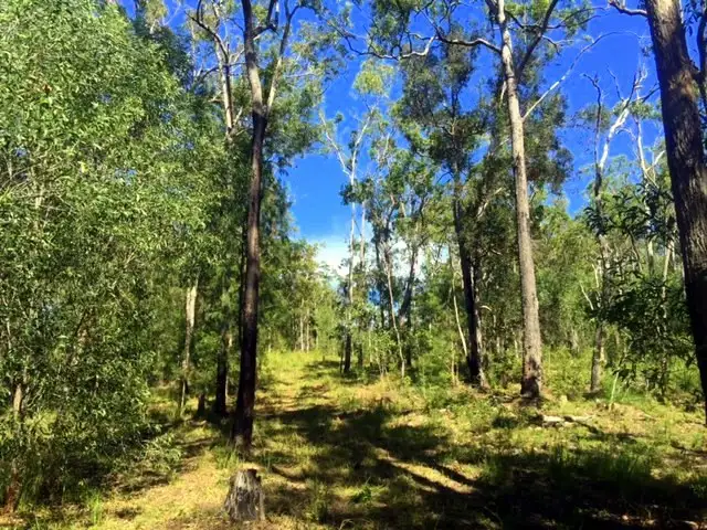 Third view of Homely land listing, lot 41 Creevey Drive, Captain Creek QLD 4677