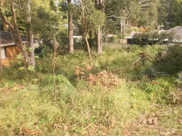 Main view of Homely land listing, 48 James Scott Crescent, Lemon Tree Passage NSW 2319