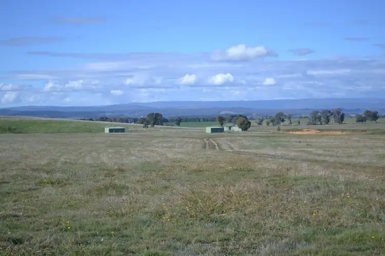 Fifth view of Homely rural property listing, 99 Coppabella Road, Rosewood NSW 2652