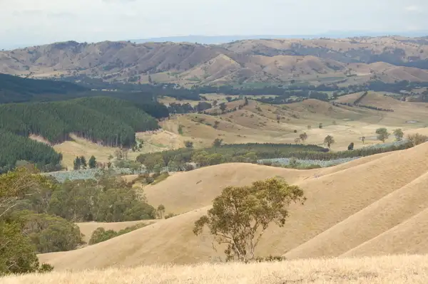 Main view of Homely land listing, 360 McNally's Road, Strath Creek VIC 3658