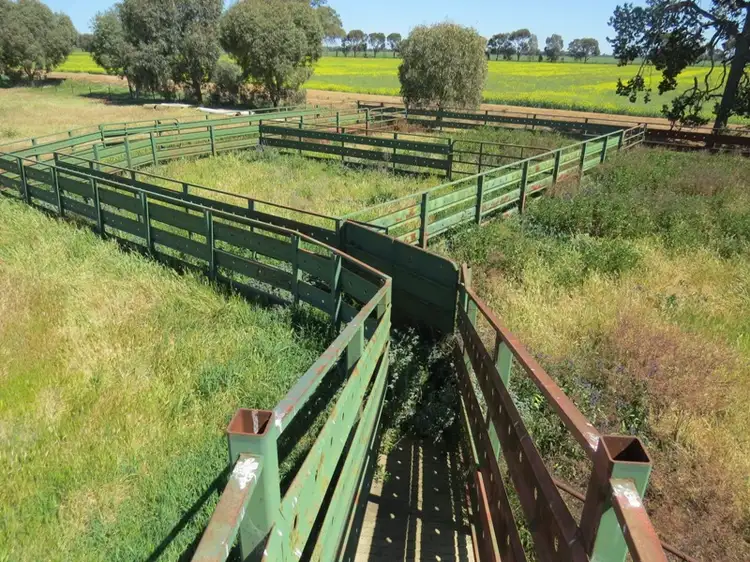Second view of Homely rural property listing, 163 Holzigals Road, Finley NSW 2713