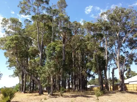 2 (Lot 512) Malbec Street