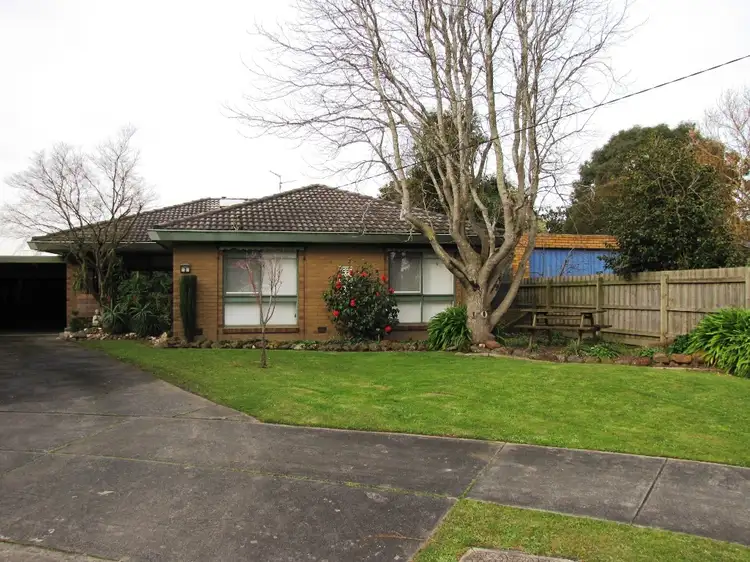 Main view of Homely house listing, 3 Murray Court, Trafalgar VIC 3824