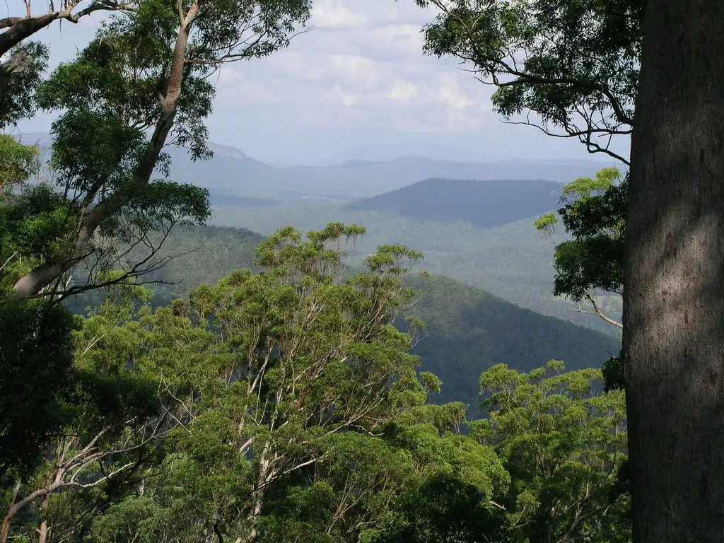 Main view of Homely rural property listing, Lot 204 Misty Vale Way, Hollisdale NSW 2446